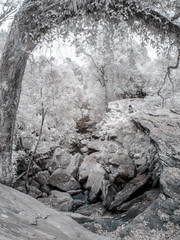 Phu Kradueng national park ,Thailand ,Infared landscape