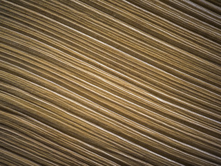 Pattern of palm leave