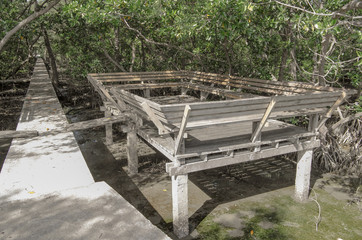 wooden platform