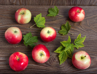 Яблоки,листья смородины на фоне старого дерева.