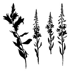 vector silhouettes of flowers