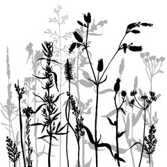 Naklejka premium vector silhouettes of flowers and grass