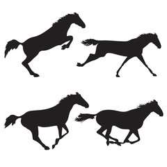 Set of wild horses