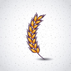 wheat ear gold yellow agriculture con. Colorful and Flat design. Vector illustration