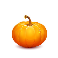 vector pumpkin