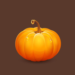 vector pumpkin