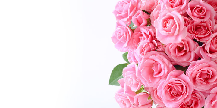 白背景にピンクのバラの花束