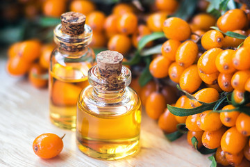 Essential oil of sea buckthorn (Hippophae) in glass bottle with fresh, juicy ripe yellow berries on the branch with green leaves-beauty treatment. Spa concept. Selective focus.