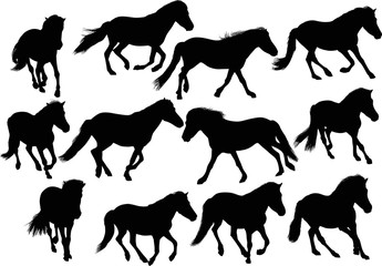 twelve black horses on white