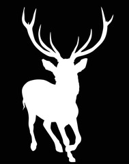 white running deer with large antlers