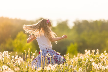 Girl running on the field of dandelions on summer sunset. Beautiful little kid girl  dancing on...