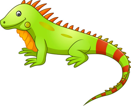 Cute iguana cartoon