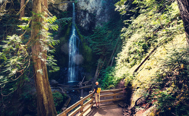 Fototapeta premium Waterfall in Vancouver