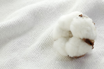 Fototapeta na wymiar コットンイメージ/コットンのタオルの上の綿花