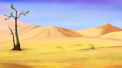 Small Lonely Tree in a Desert