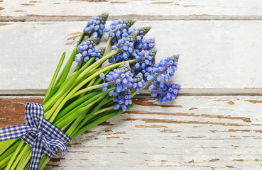 Blue muscari flowers (Grape hyacinth) on wood
