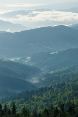 Fototapeta na wymiar Góry we mgle, Beskidy, widok z Gorców