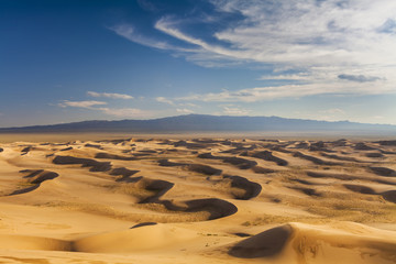 Fototapeta na wymiar Beautiful view of the dunes of the Gobi Desert. Mongolia.