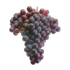 bunch of red grapes