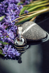 Spa still life with essential oil in glass bottle, spring flowers and stones on dark background. Close up. Beauty treatment. Spa concept. Selective focus.