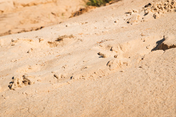 sand on a beach near a sea