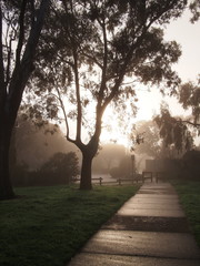 Creepy dark bike path with tree line and heavy fog  against the sun rise, Melbourne, Australia, 2015