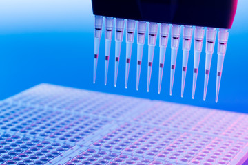 PCR multipipette