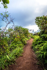 Fototapeta premium Kuliouou Ridge trail, a popular hiking destination just outside Honolulu, Hawaii on the south side of Oahu