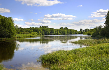 Fototapeta na wymiar Gzhat River near Gagarin. Smolensk Oblast. Russia