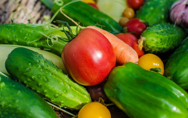 fresh and raw vegetables