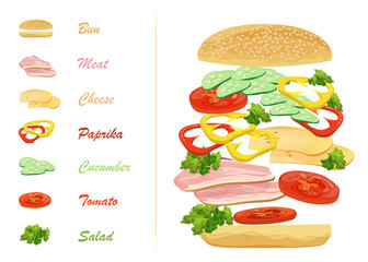 Sandwich ingredients with text infographics. Floating hamburger.