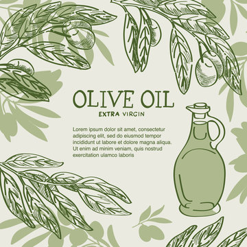 Olive oil banner design with hand drawn olive branches and bottle of oil.