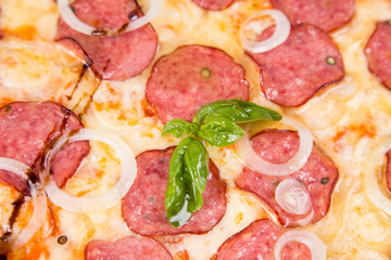 pizza isolated on white