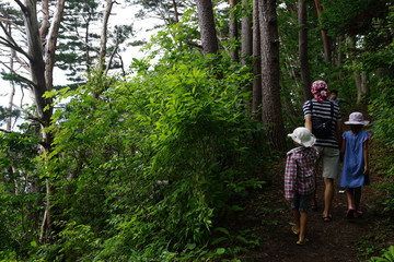 森を歩く　家族　父娘　父子　夏休み　散策