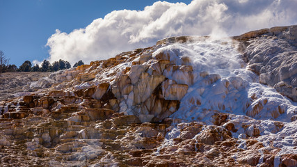 Hot spring has a wide range of colors and intricate travertine formations. Mammoth Hot Springs, Yellowstone National Park, Wyoming, USA