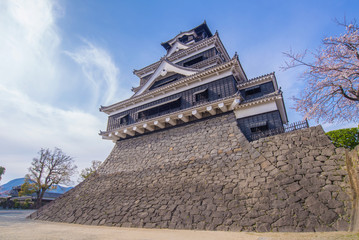 Kumamoto Castle with sakura or Cherry Blossoms