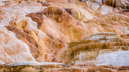 Close-up view of the terrace at Mammoth Hot Springs, Yellowstone National Park, Wyoming, USA
