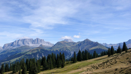 the Swiss Alps