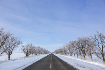 winter road. Trees in the snow, the branches covered with frost. Snowfall.