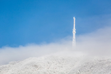 Snow-covered park. The mountains. Snowfall. Winter background.