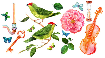 Vintage themed watercolor drawings set, isolated on white