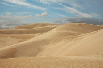 Fototapeta na wymiar Sand desert in Australia