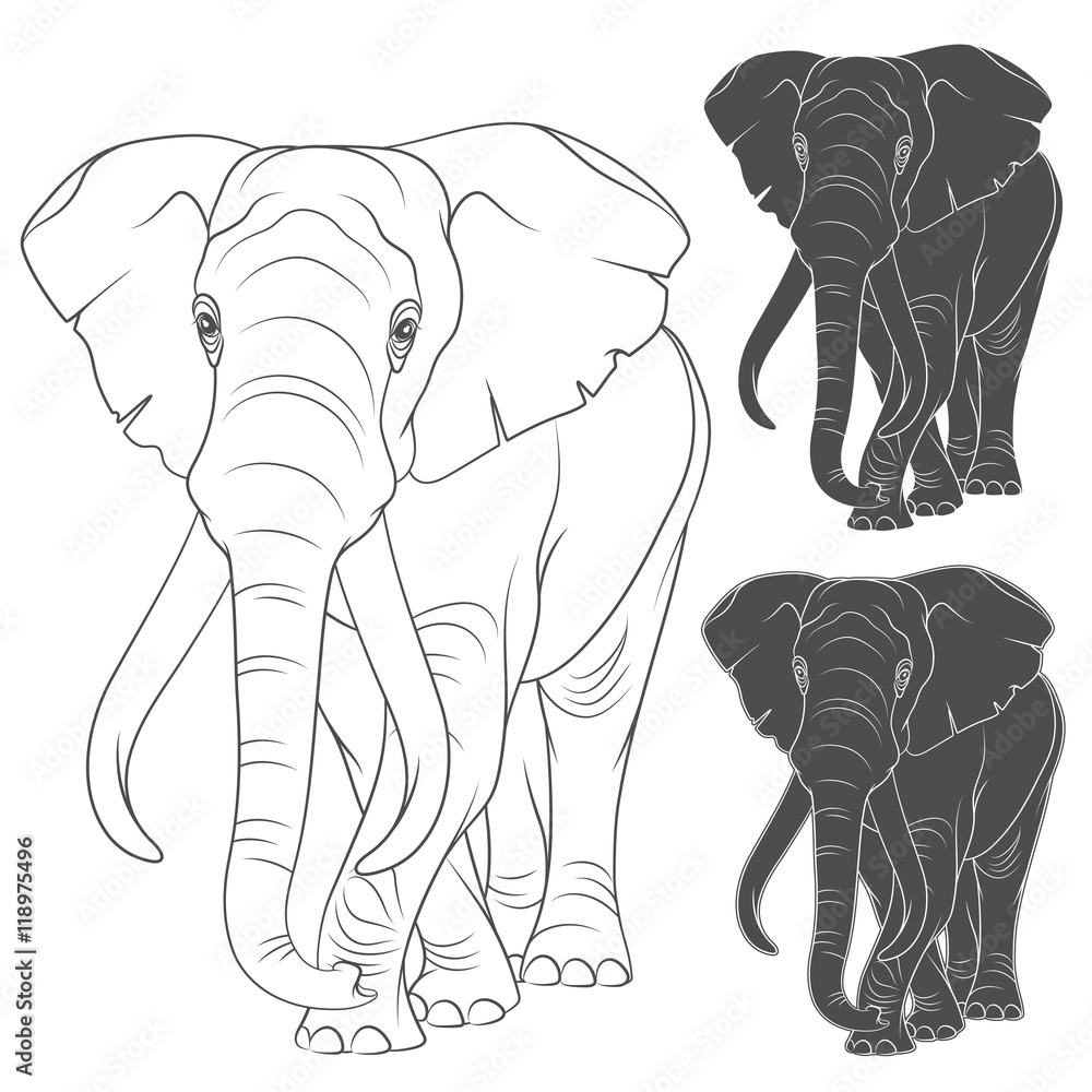 Aufkleber set of vector illustrations with the elephant. isolated objects on a white background.