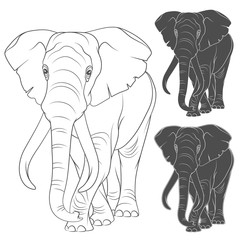 Set of vector illustrations with the elephant. Isolated objects on a white background.