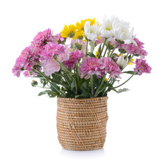 chrysanthemums in basket on white background