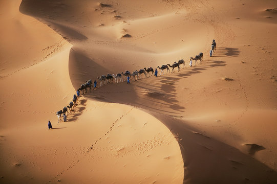 The setting sun over the desert makes a enchanting shadow as a caravan of camel merchants winds their way toward the next stop on their journey.