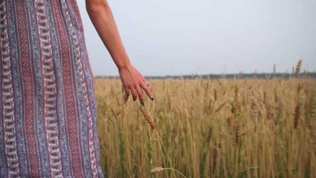 Hands girls slip on wheat