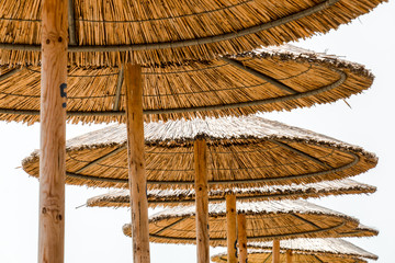 Fototapeta na wymiar Reed Beach Umbrellas