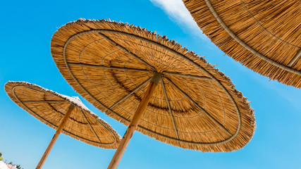 Reed Beach Umbrella