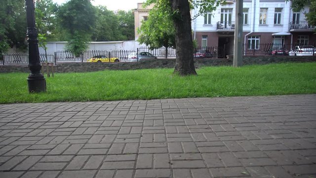 Man Walking With a Little Dog